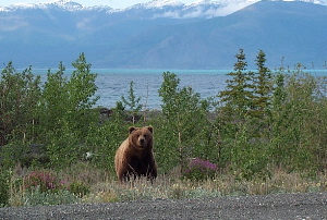 Beautiful Haines Alaska