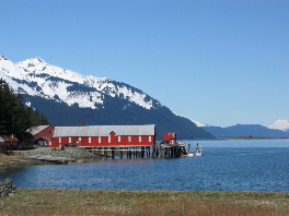 Beautiful 
Haines Alaska