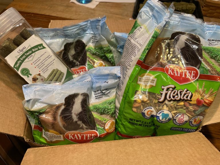 Guinea Pig Habitat, Bedding & Food