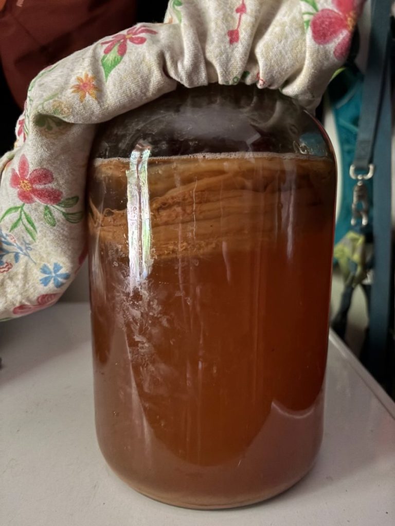 Free Scoby