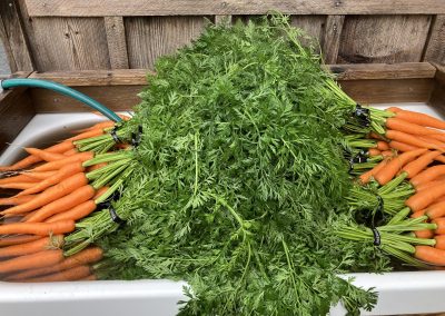 Local Produce at the Haines Farmers Market!