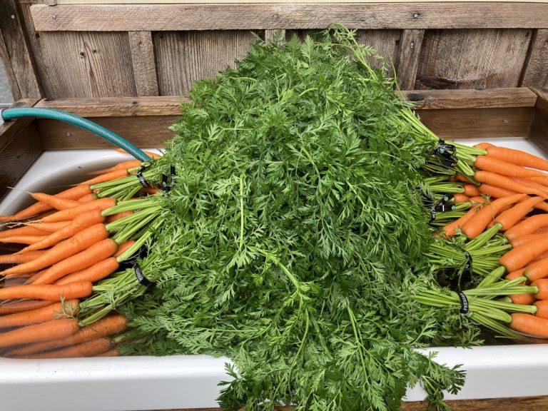 Local Produce at the Haines Farmers Market!