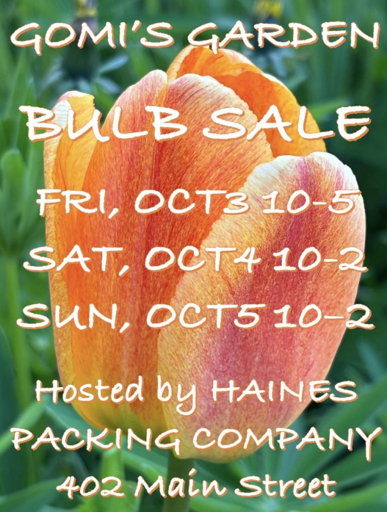 GOMIS’S GARDEN BULB SALE TO START OCT3RD
