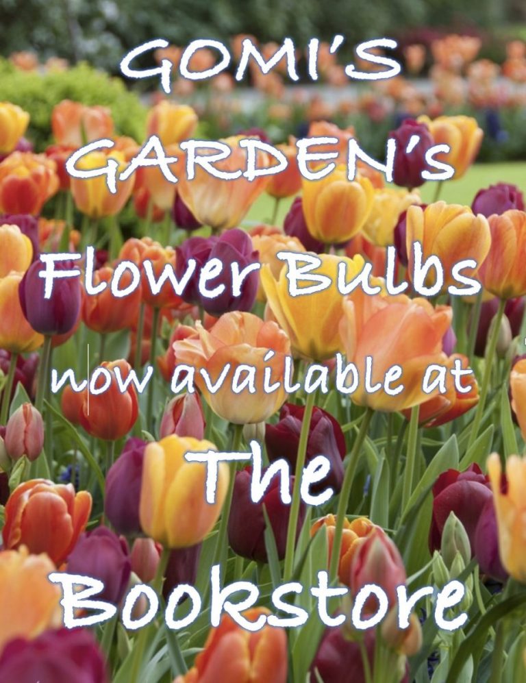 GOMI’s GARDEN’s FLOWER BULBS