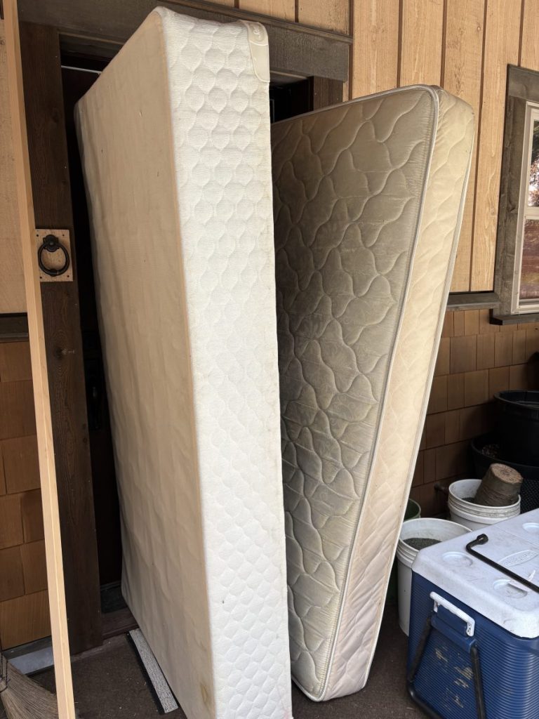 Twin Mattress and a Box Spring