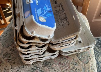 Egg cartons