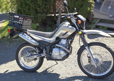 2019 Yamaha XT250