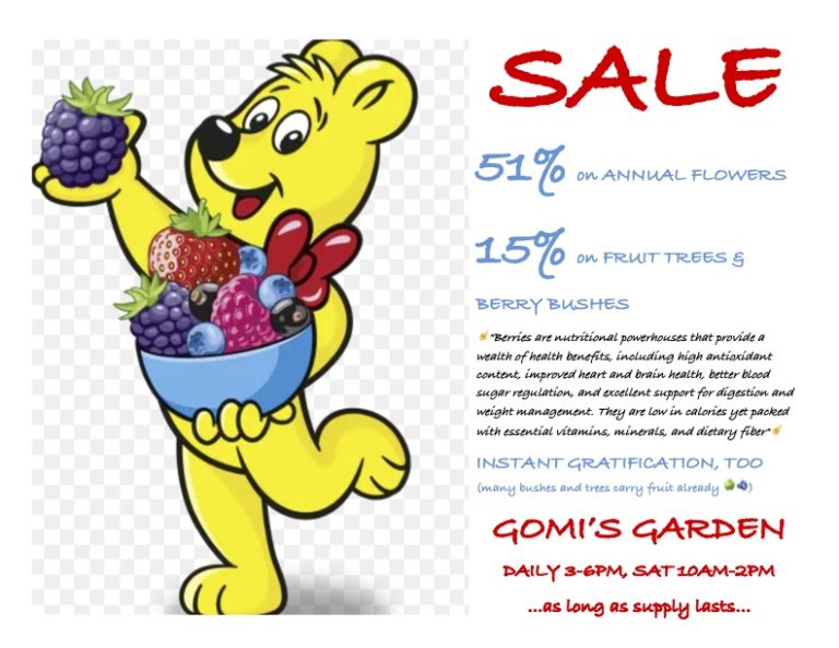 SALE at GOMI’S GARDEN