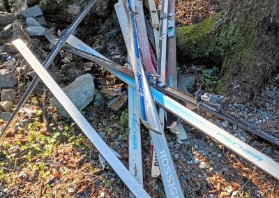 Free Misc. xc skis