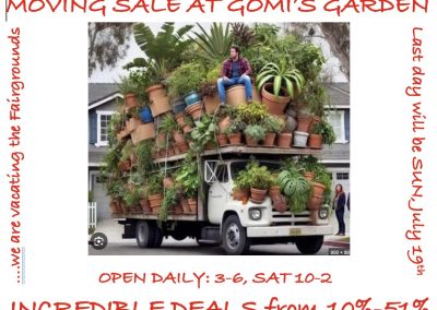 🌷MOVING SALE AT GOMI’S GARDEN🌷