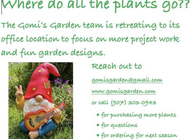 🌷🌷🌷Gomi’s Garden moved 🌷🌷🌷