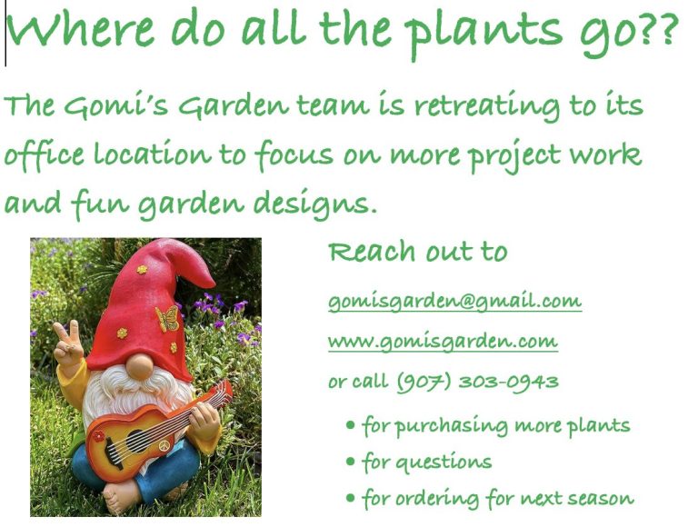 🌷🌷🌷Gomi’s Garden moved 🌷🌷🌷
