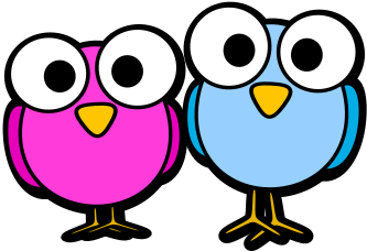 Friday Night Bingo — That BIRD Can’t Be Won If You Don’t Play!