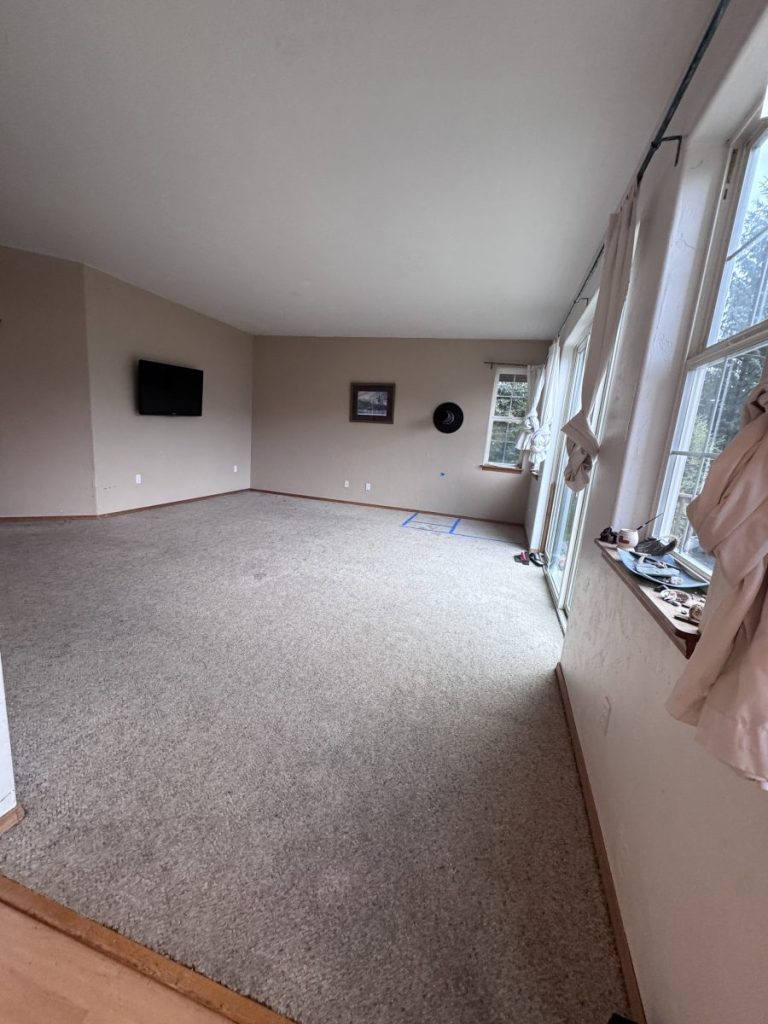 FS: Used indoor carpet