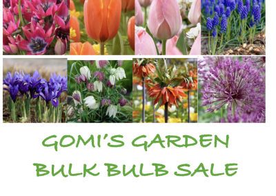 Gomi’s GARDEN’S BULK BULB SALE IS COMING UP